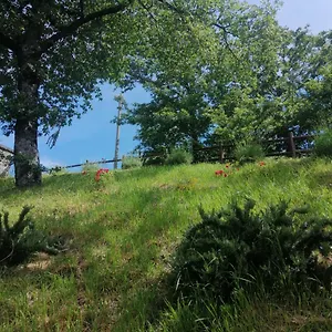 https://bb-claras-garden.emilia-romagnahotels.net